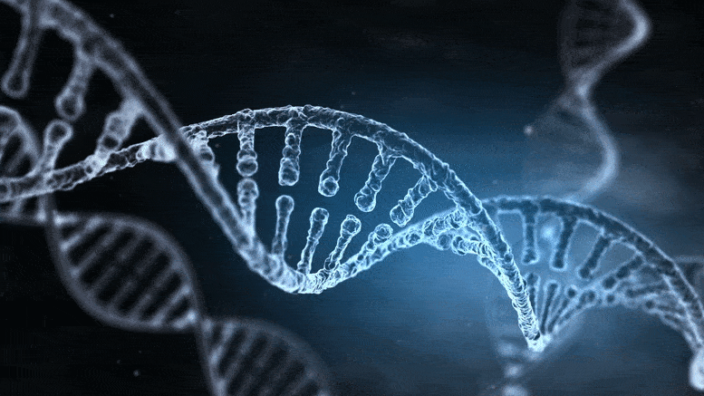 DNA Kit