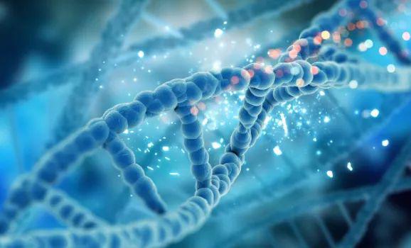 DNA